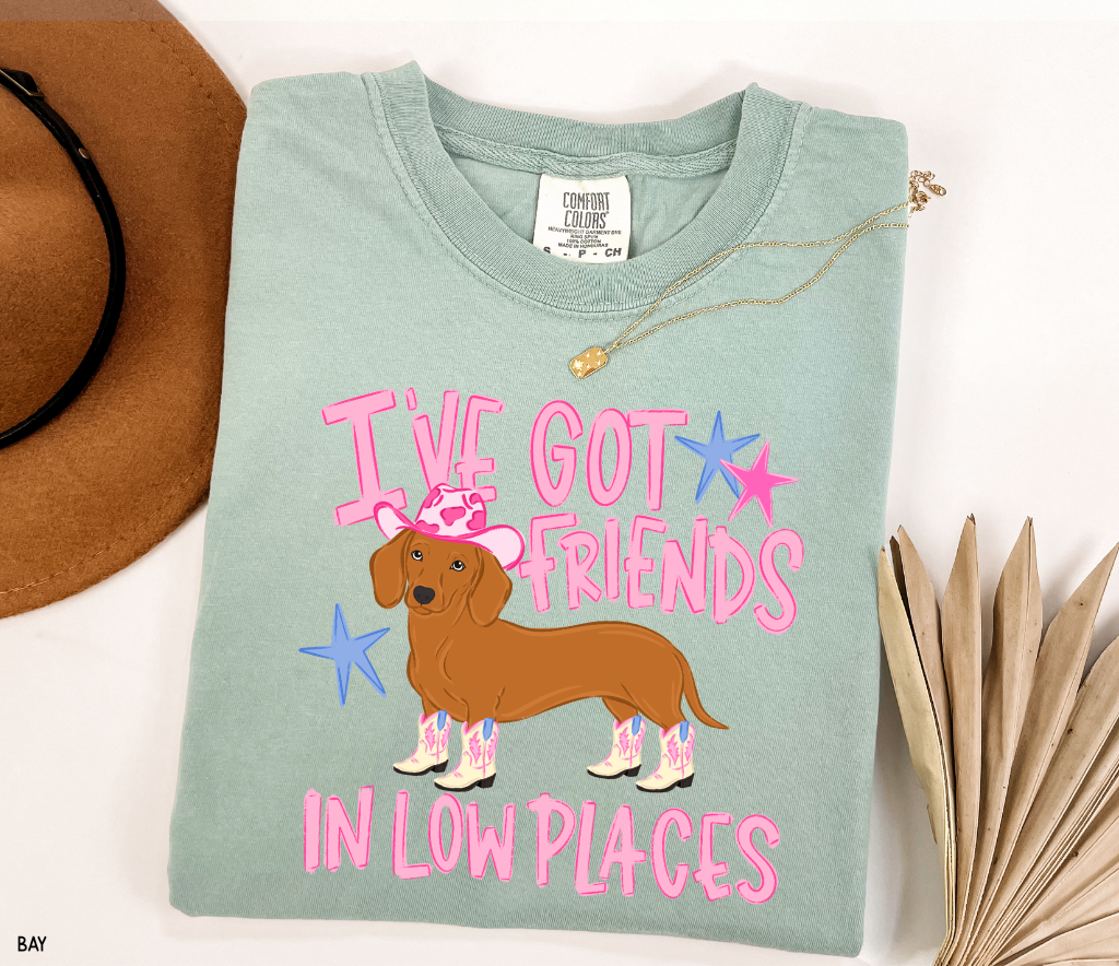 I’ve Got Friends In Low Places Comfort Colors T-Shirt
