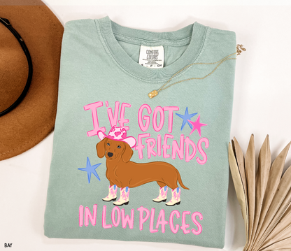 I’ve Got Friends In Low Places Comfort Colors T-Shirt