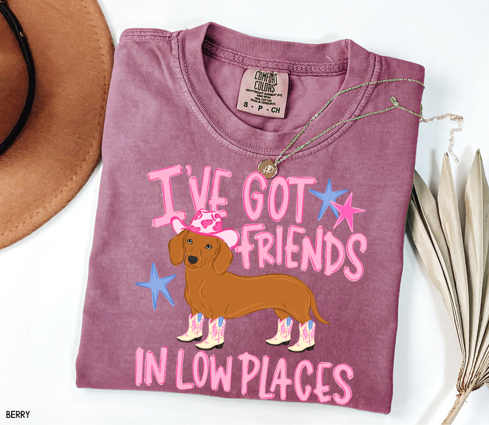 I’ve Got Friends In Low Places Comfort Colors T-Shirt