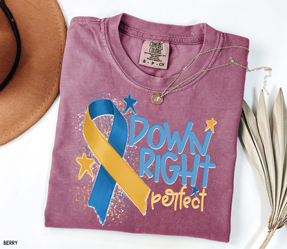 Down Right Perfect Adult Comfort Colors T-shirt