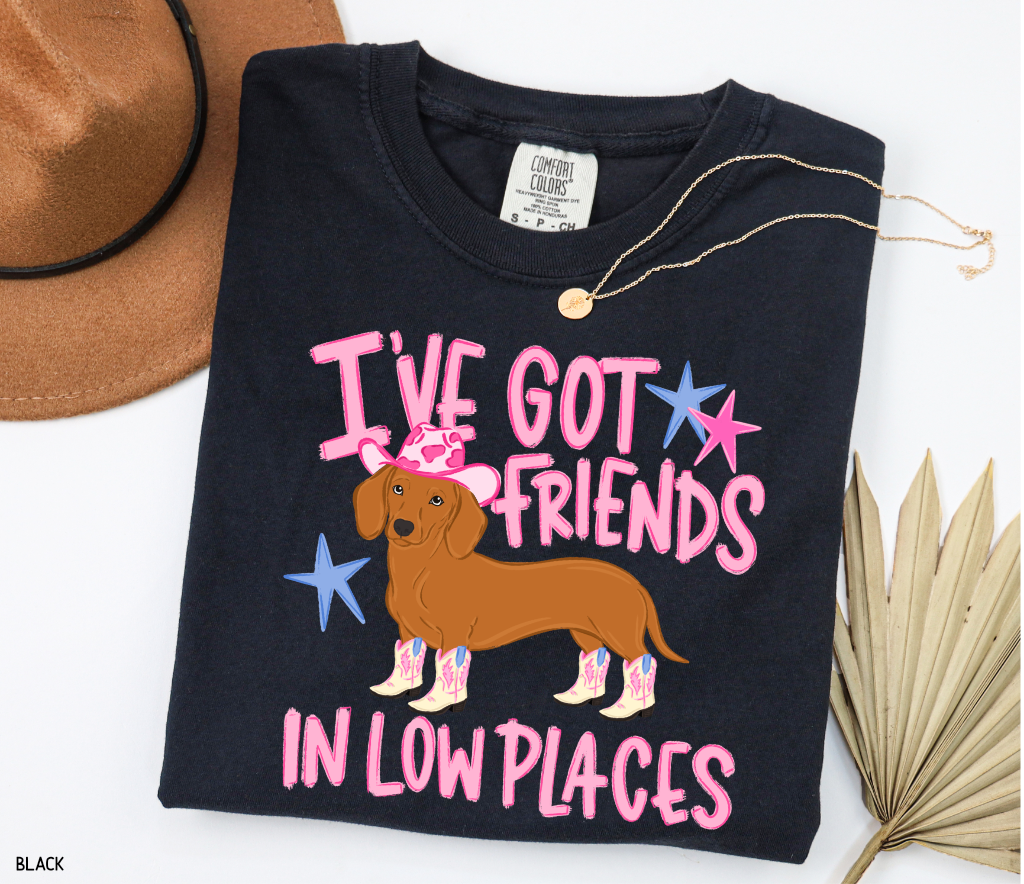 I’ve Got Friends In Low Places Comfort Colors T-Shirt