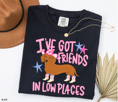 I’ve Got Friends In Low Places Comfort Colors T-Shirt