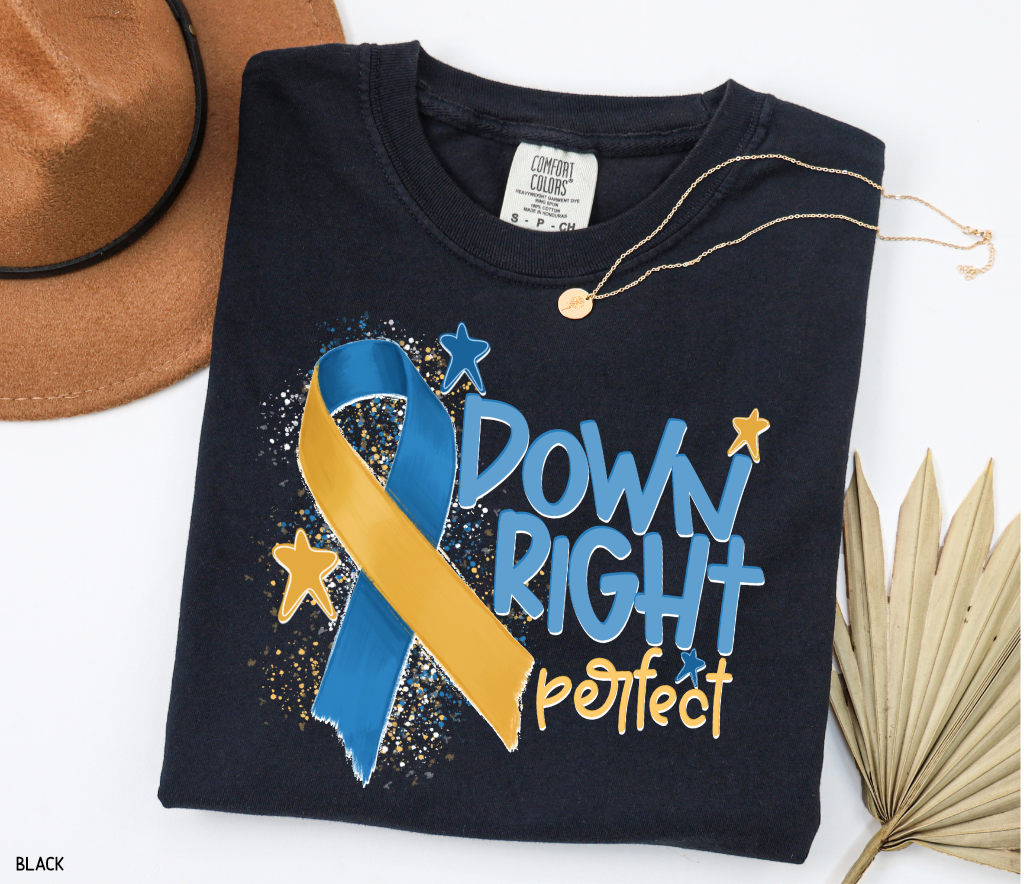 Down Right Perfect Adult Comfort Colors T-shirt