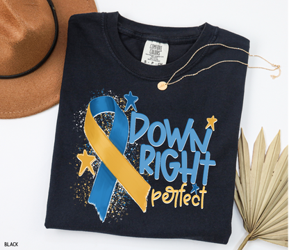 Down Right Perfect Adult Comfort Colors T-shirt