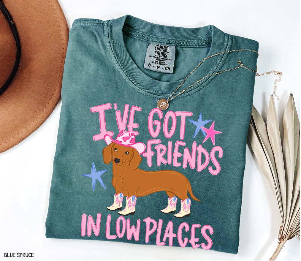 I’ve Got Friends In Low Places Comfort Colors T-Shirt