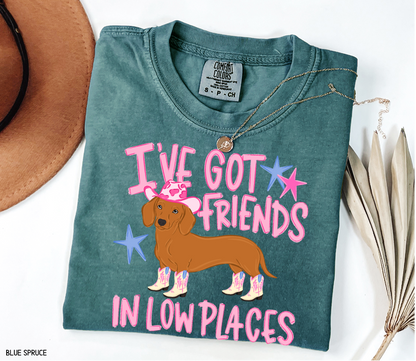 I’ve Got Friends In Low Places Comfort Colors T-Shirt
