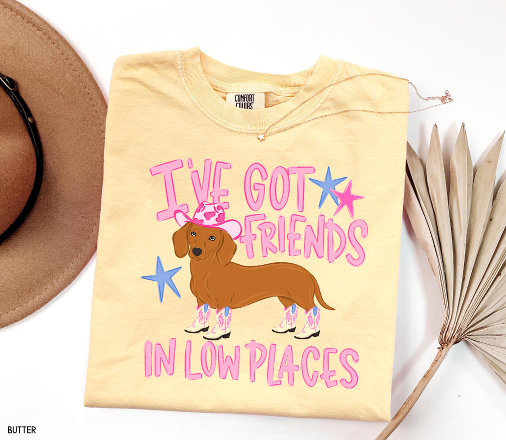 I’ve Got Friends In Low Places Comfort Colors T-Shirt