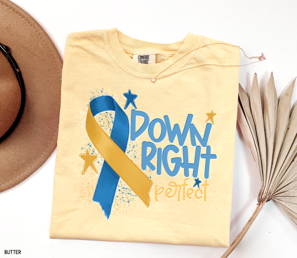 Down Right Perfect Adult Comfort Colors T-shirt