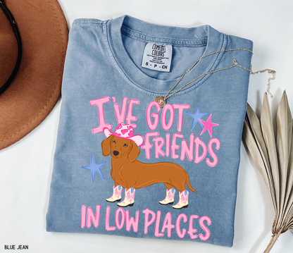 I’ve Got Friends In Low Places Comfort Colors T-Shirt