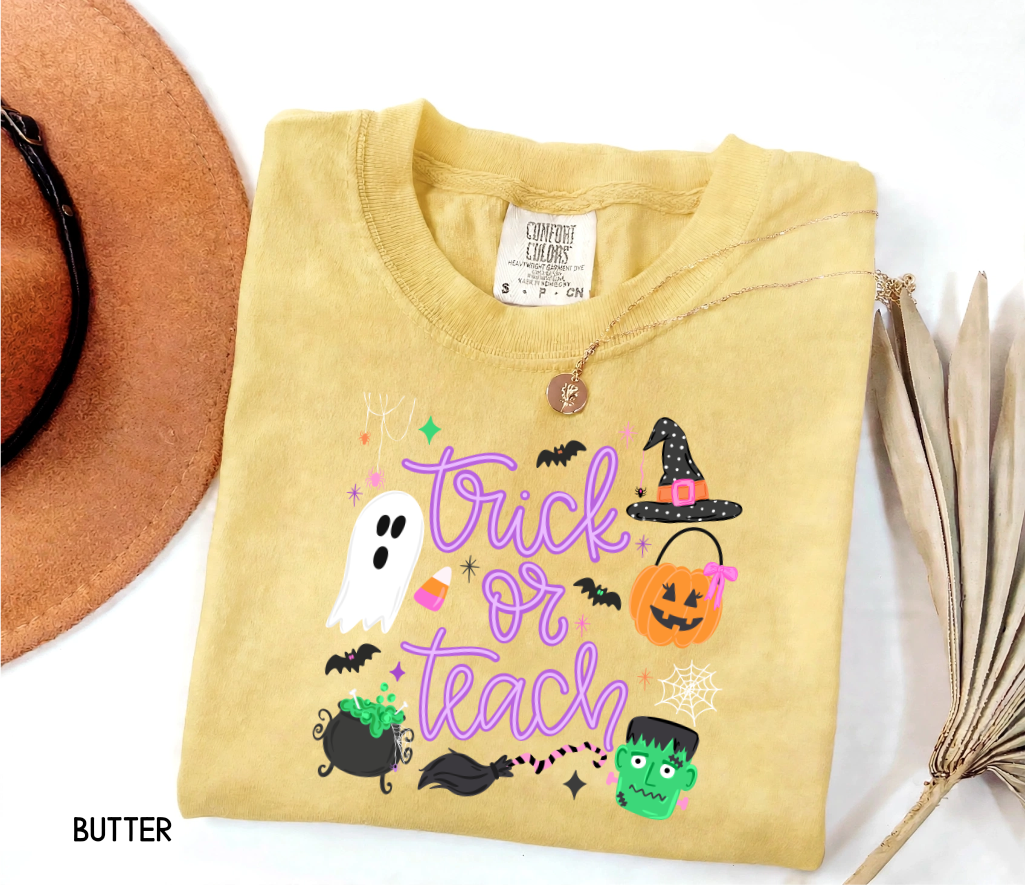 Trick or Teach Adult Comfort Colors T-Shirt