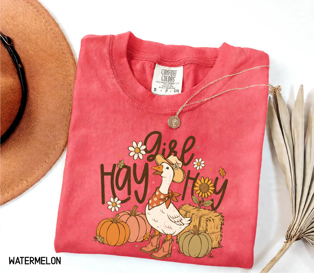 Hay Girl Hey Funny Adult Comfort Colors T-Shirt
