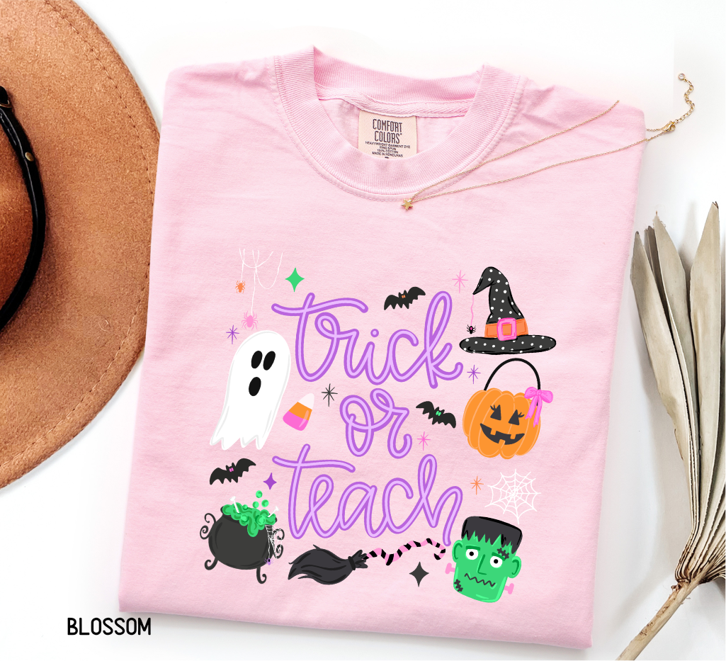 Trick or Teach Adult Comfort Colors T-Shirt