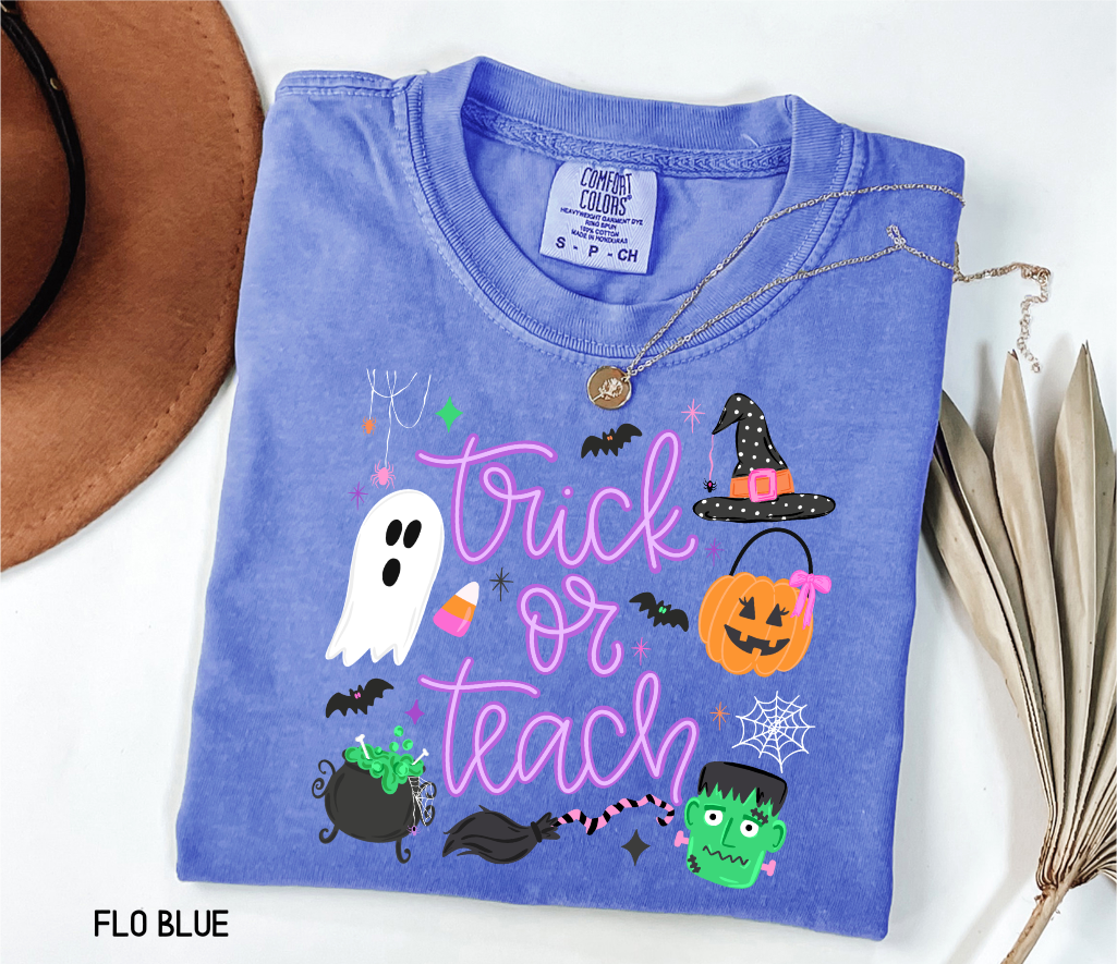Trick or Teach Adult Comfort Colors T-Shirt