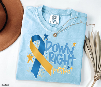 Down Right Perfect Adult Comfort Colors T-shirt