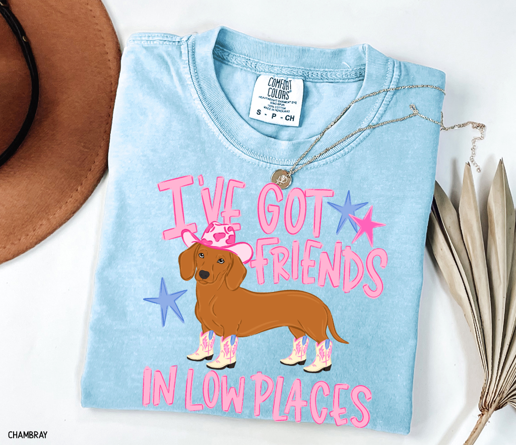 I’ve Got Friends In Low Places Comfort Colors T-Shirt