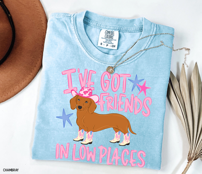 I’ve Got Friends In Low Places Comfort Colors T-Shirt