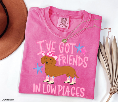 I’ve Got Friends In Low Places Comfort Colors T-Shirt