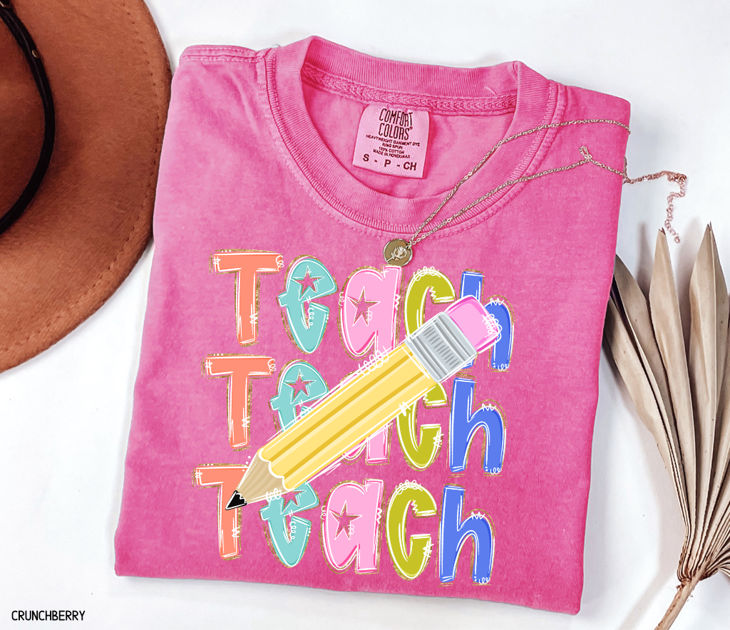 Teach Teach Teach Adult Comfort Colors T-Shirt