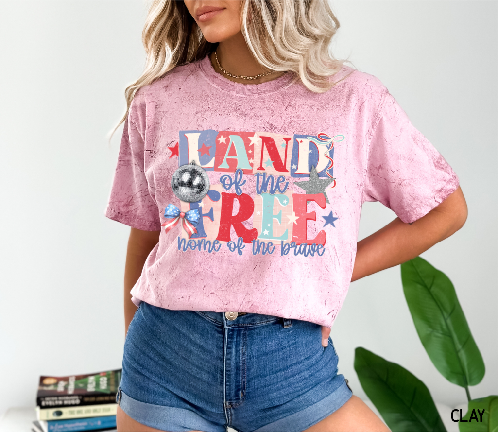 Land of The Free Adult Comfort Colors T-Shirt