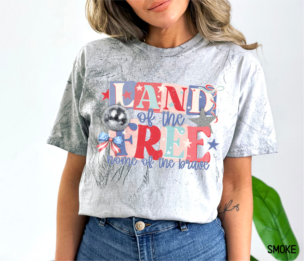 Land of The Free Adult Comfort Colors T-Shirt