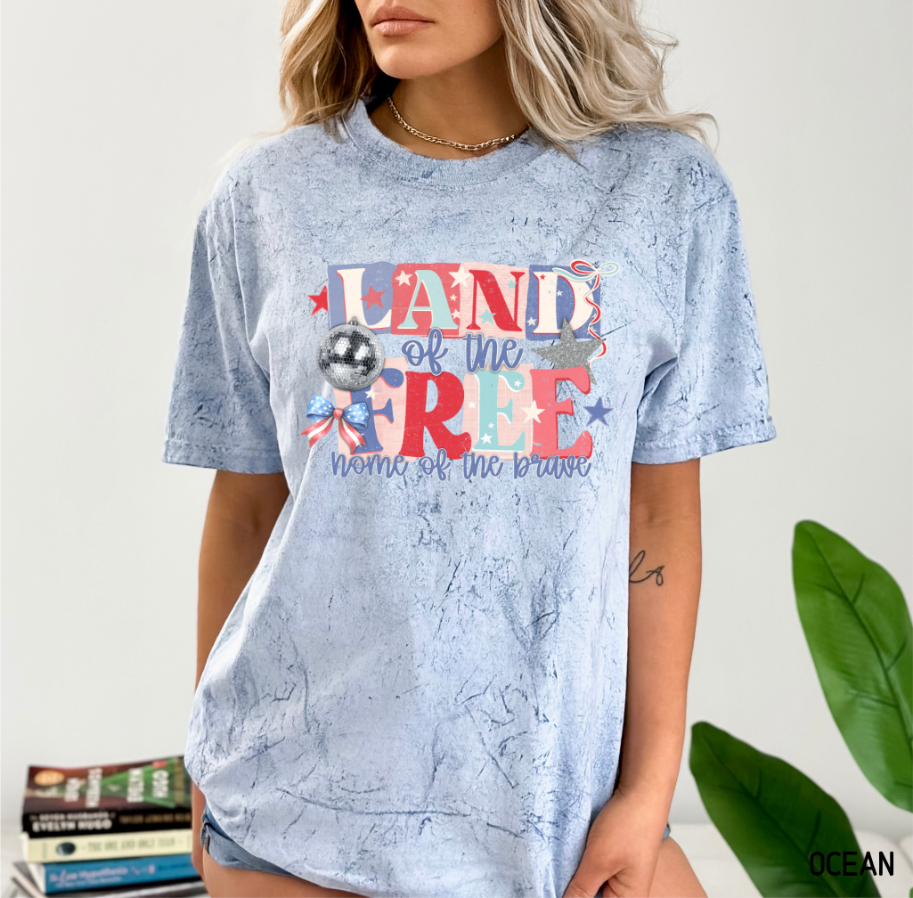 Land of The Free Adult Comfort Colors T-Shirt
