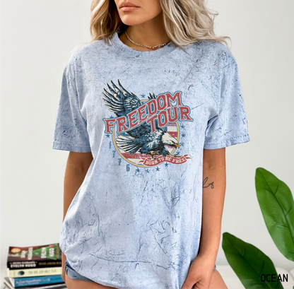 Freedom Tour 1776 Comfort Colors T-Shirt
