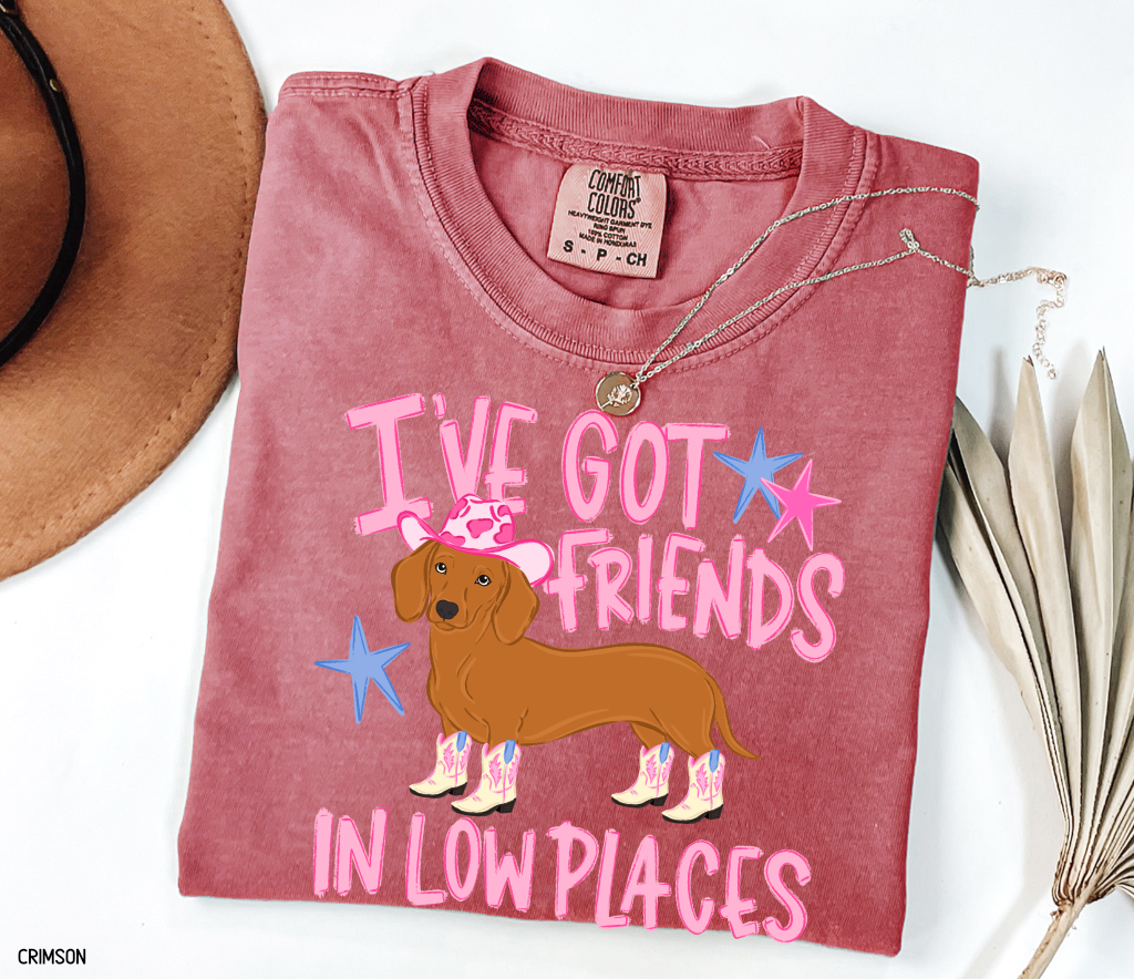 I’ve Got Friends In Low Places Comfort Colors T-Shirt