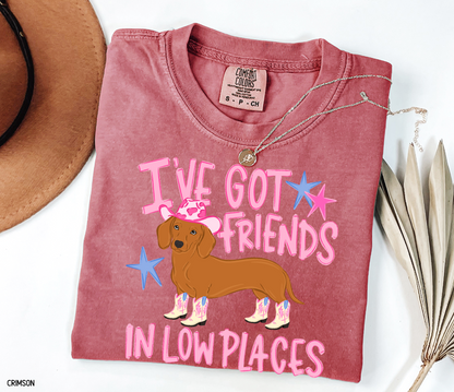 I’ve Got Friends In Low Places Comfort Colors T-Shirt