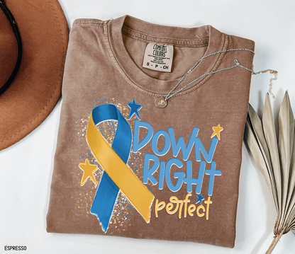 Down Right Perfect Adult Comfort Colors T-shirt