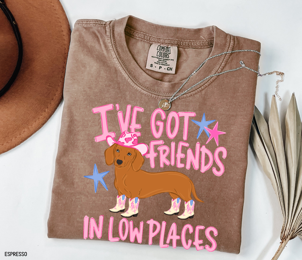 I’ve Got Friends In Low Places Comfort Colors T-Shirt