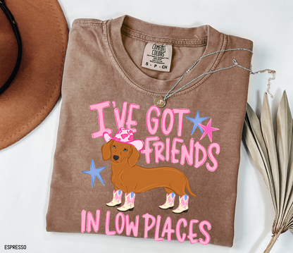 I’ve Got Friends In Low Places Comfort Colors T-Shirt