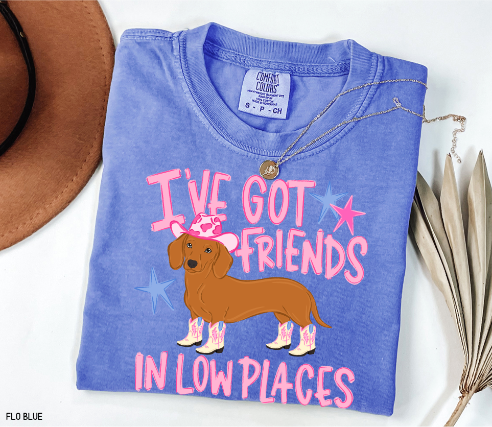 I’ve Got Friends In Low Places Comfort Colors T-Shirt