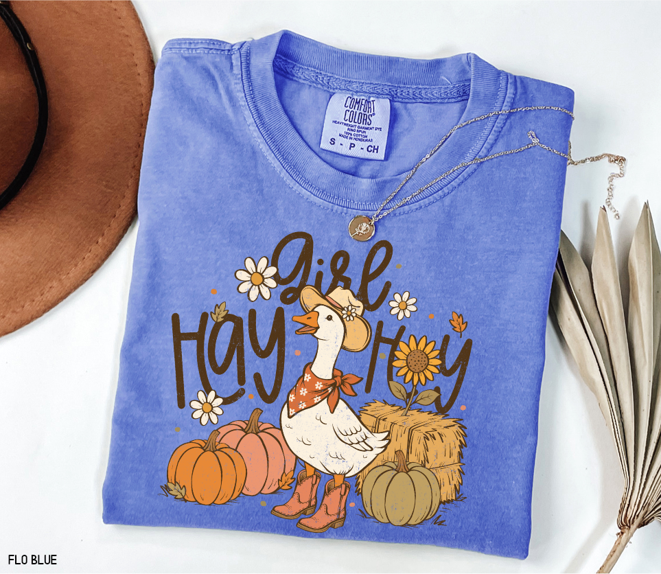 Hay Girl Hey Funny Adult Comfort Colors T-Shirt