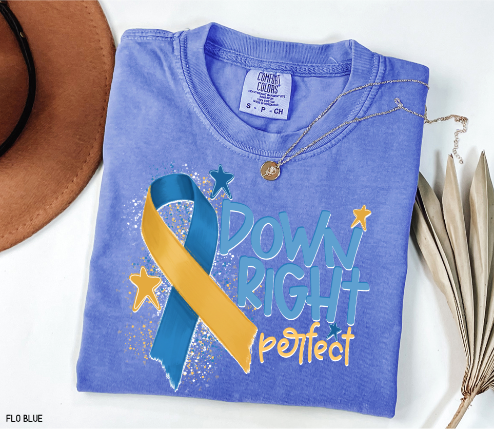 Down Right Perfect Adult Comfort Colors T-shirt