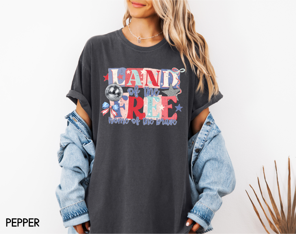 Land of The Free Adult Comfort Colors T-Shirt