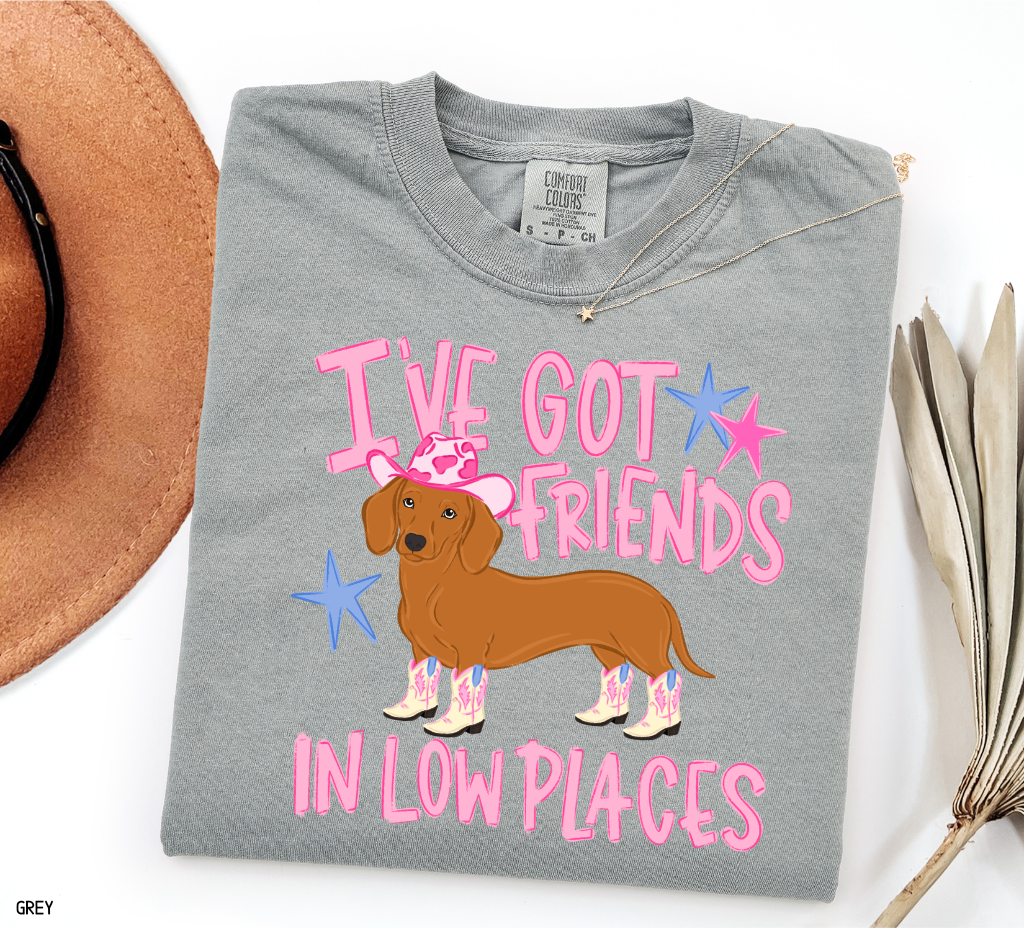I’ve Got Friends In Low Places Comfort Colors T-Shirt