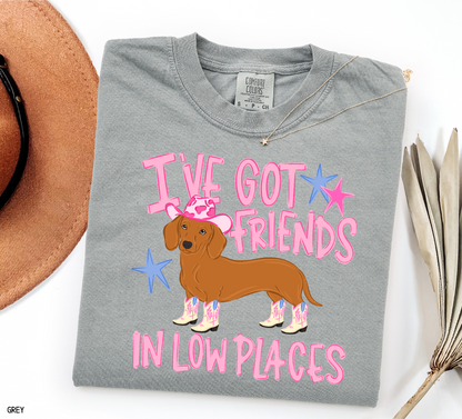 I’ve Got Friends In Low Places Comfort Colors T-Shirt