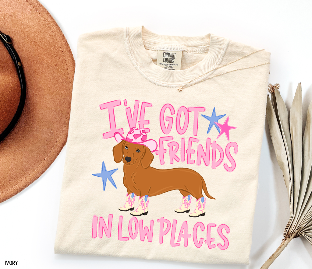 I’ve Got Friends In Low Places Comfort Colors T-Shirt