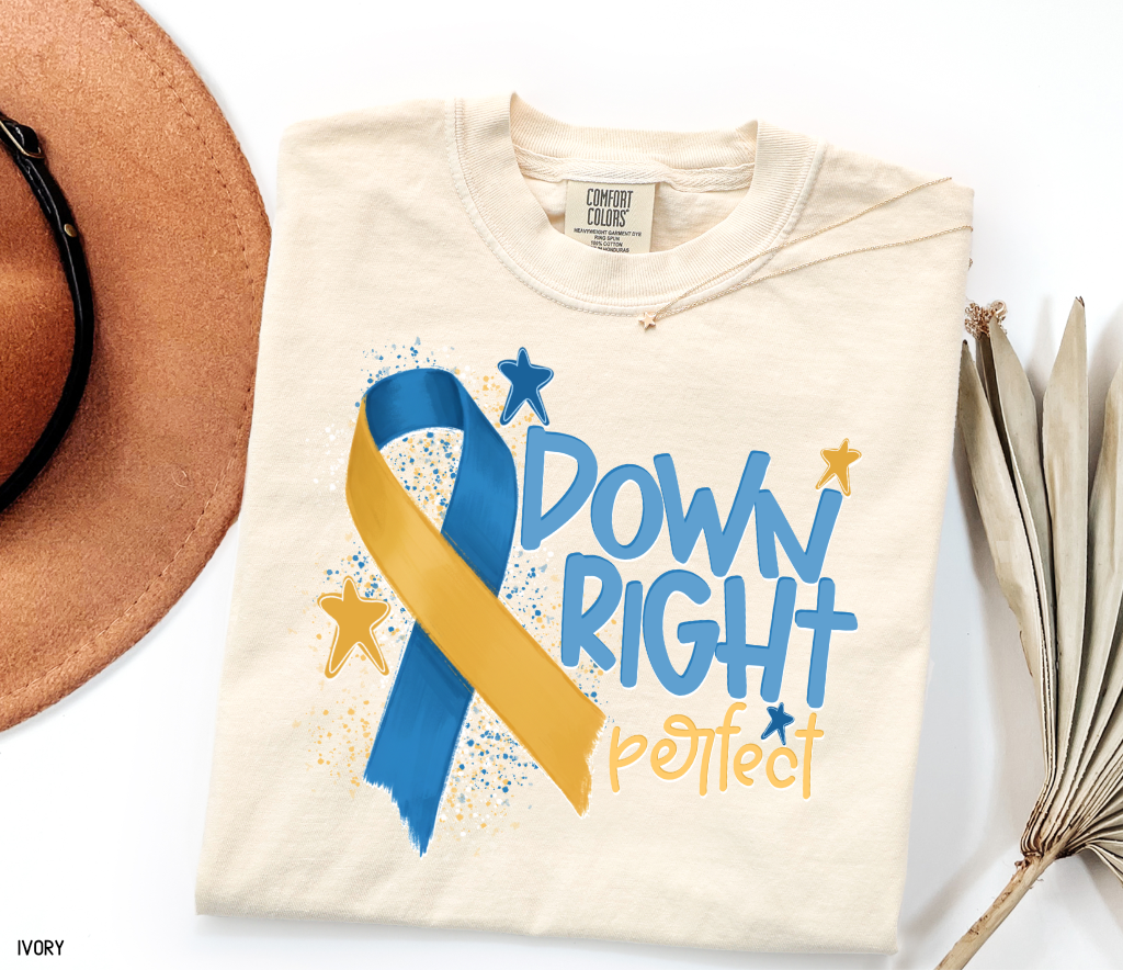 Down Right Perfect Adult Comfort Colors T-shirt