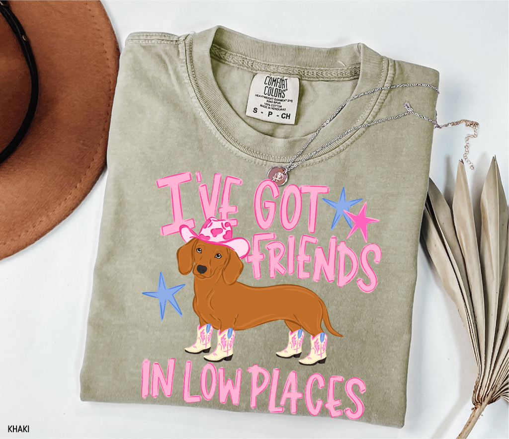 I’ve Got Friends In Low Places Comfort Colors T-Shirt