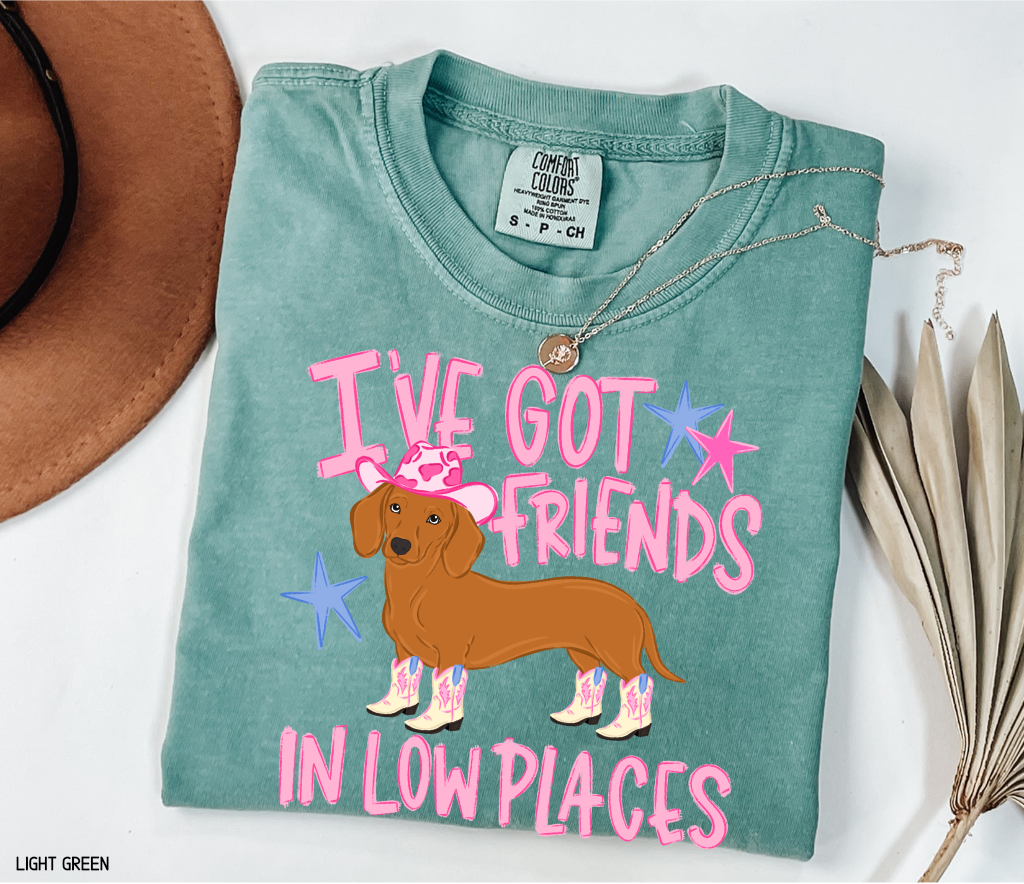 I’ve Got Friends In Low Places Comfort Colors T-Shirt