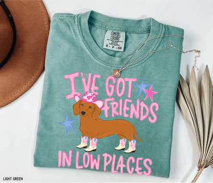 I’ve Got Friends In Low Places Comfort Colors T-Shirt