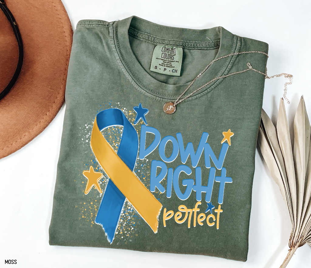Down Right Perfect Adult Comfort Colors T-shirt