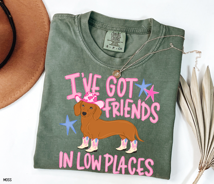 I’ve Got Friends In Low Places Comfort Colors T-Shirt