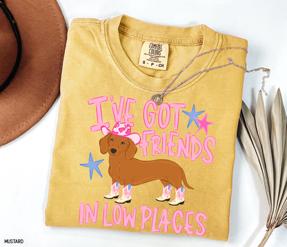 I’ve Got Friends In Low Places Comfort Colors T-Shirt