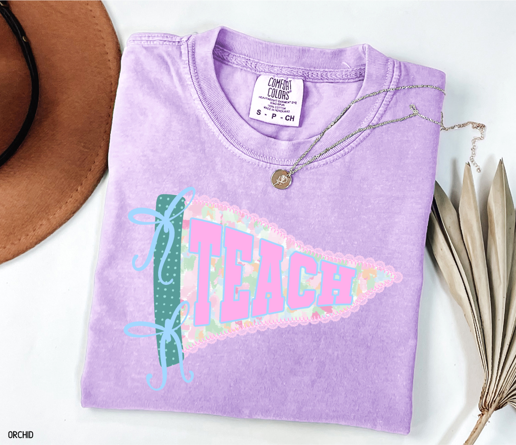 Teach Pennant Adult Comfort Colors T-Shirt