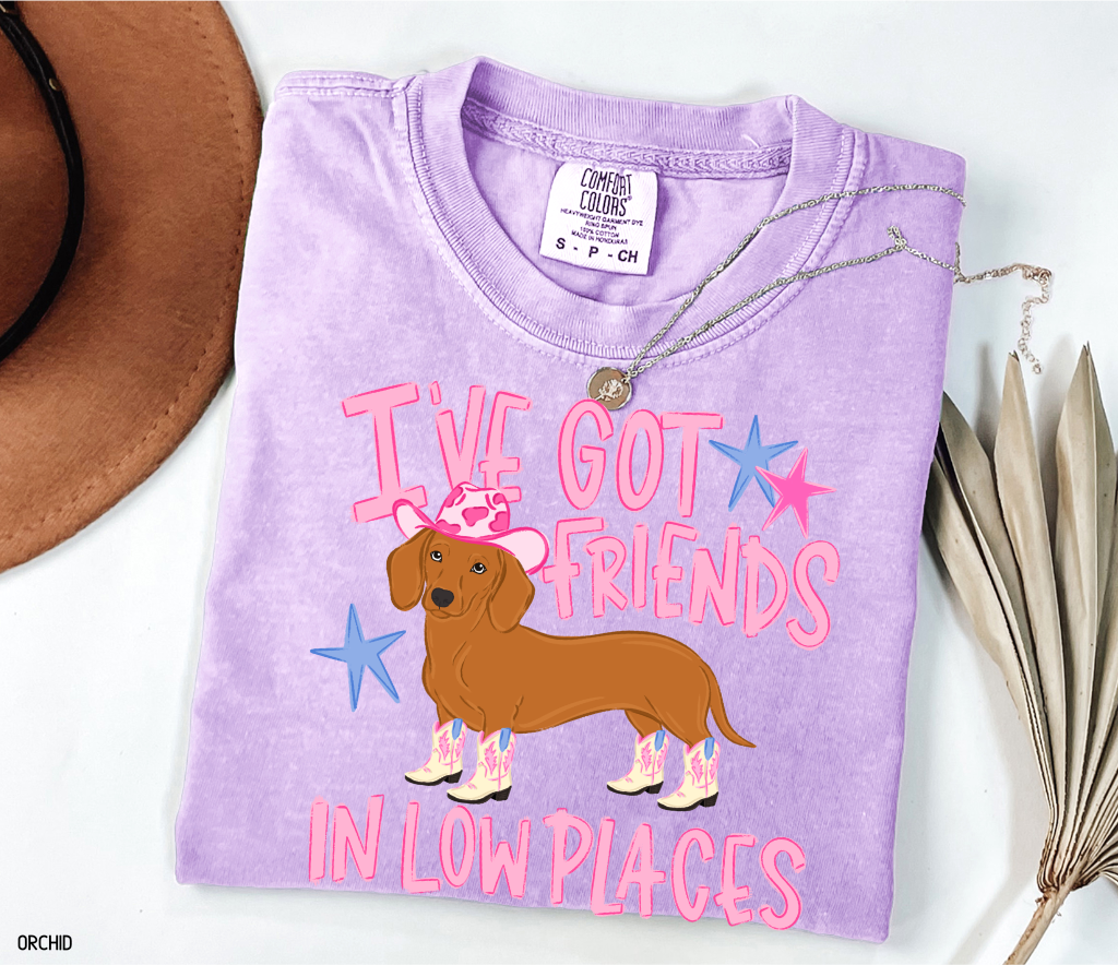 I’ve Got Friends In Low Places Comfort Colors T-Shirt