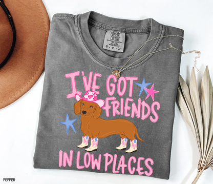 I’ve Got Friends In Low Places Comfort Colors T-Shirt