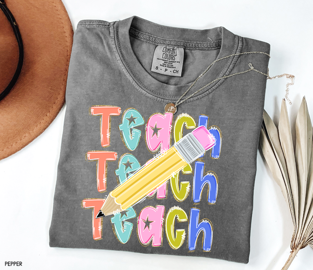 Teach Teach Teach Adult Comfort Colors T-Shirt