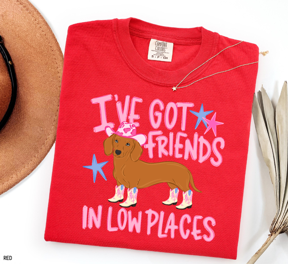 I’ve Got Friends In Low Places Comfort Colors T-Shirt
